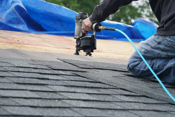 Best Roof Waterproofing Services  in Csar Chvez, TX