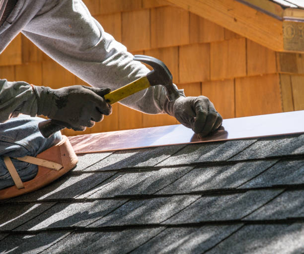 Best Metal Roofing Contractor  in Csar Chvez, TX